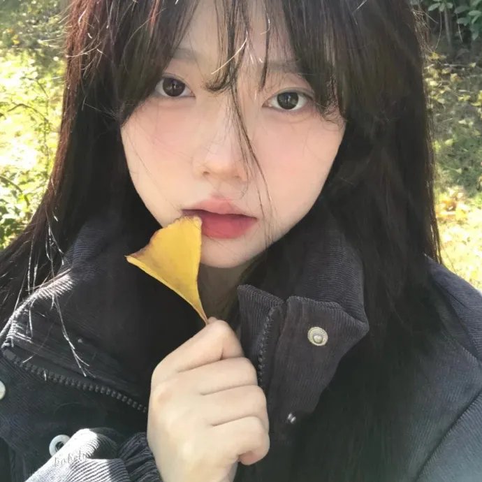 记忆碎片